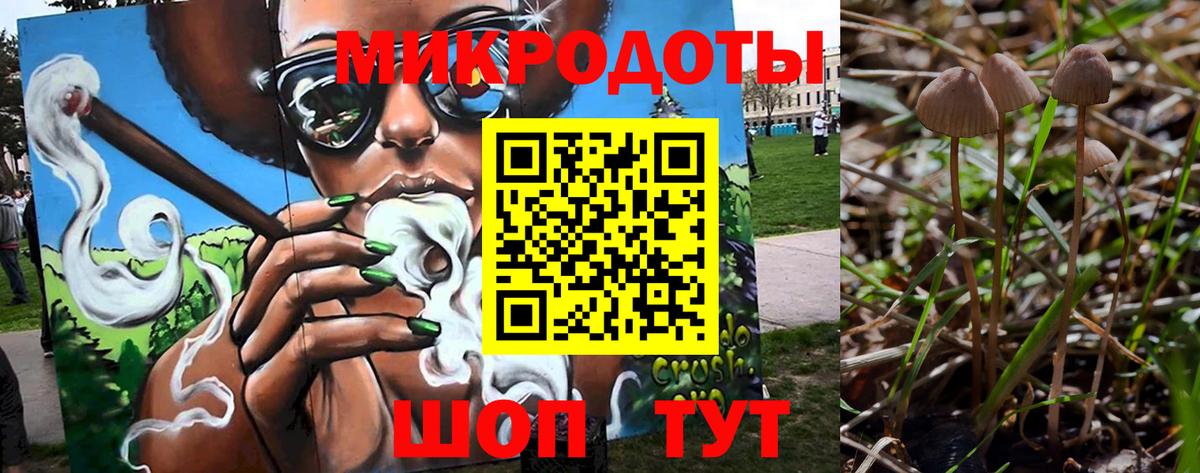 Псилоцибиновые грибы мицелий Кудрово