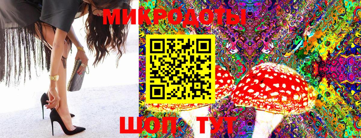 Кудрово  Псилоцибиновые грибы Magic Shrooms  Вход с VPN  Псилоцибиновые грибы Psilocybe 